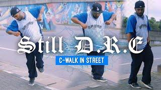 Still Dre C-walk | Still Crip Walk