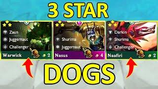 3 Star DOGS ⭐⭐⭐