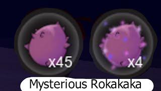 Project Star mysterious rokakaka