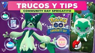  ¡LLEGÓ LA HORA! ARRASA EN EL COMMUNITY DAY DE SPRIGATITO CON ESTOS TIPS - Pokémon GO [Neludia]