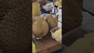 Today I wanted to eat a durian | DKING