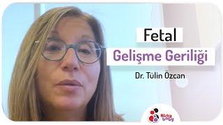 Fetal Gelişme Geriliği - Dr. Tülin Özcan