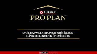 Pro Plan FortiFlora Plus’ı Prof. Dr. Ebru Yalçın’dan dinleyelim 