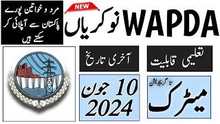 WAPDA water and power development Authority jobs June 2024| wapda jobs