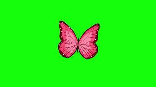 Butterfly green screen | green screen video | butterfly animation