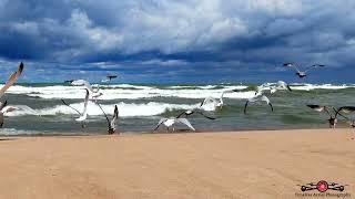 Relaxing Flight Over The Waves Of Lake Michigan 4K Drone Footage