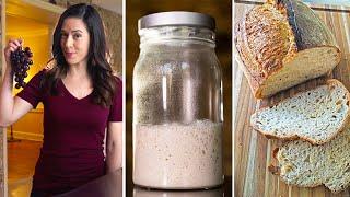 Sourdough Starter: EVERYTHING You Need to Know