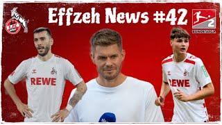 1. FC Köln Potocnik Debüt - Sargis Adamyan Abgangskandidat? + Harte Terodde Kritik! Effzeh News #42