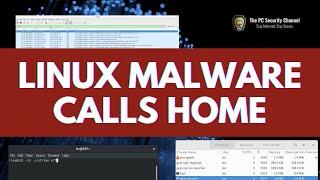 Linux Malware Calls Home: Vermilion Strike