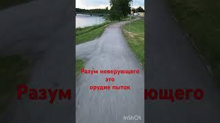 Разум неверующего это орудие пыток!#youtubeshorts #разум #allah #мусульмане #верующие #мусульмане #