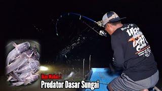 MANCING MALAM HARI BARENG TUKANG SETRUM || SUNGAI BESAR DI SETRUM GIMANA JADI NYA..??