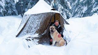 My Winter Camps in Extreme Conditions! - Best Snow Camps of 2024 Part 2