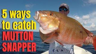 5 ways to catch MUTTON SNAPPER