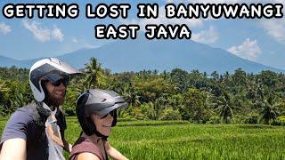 EXPLORING BANYUWANGI | East Java Indonesia | Waterfalls and Ricefields