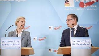 Европейские выборы: "Альтернатива для Германии" начинает кампанию, несмотря на скандал
