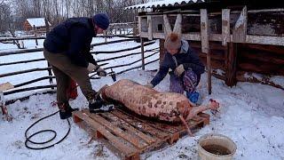 КАК ЛЮДИ ЖИВУТ НА ХУТОРЕ. ЧТО ВЫРАЩИВАЮТ И ГОТОВЯТ. ЖИЗНЬ ПРОСТЫХ ЛЮДЕЙ В ДЕРЕВНЕ