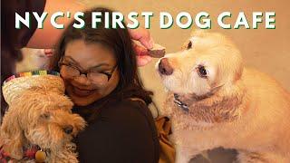 A Look Inside NYC's FIRST Dog Cafe | Tastemade Travel