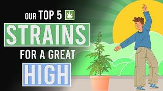 Our Top 5 Weed Strains for a Great High!