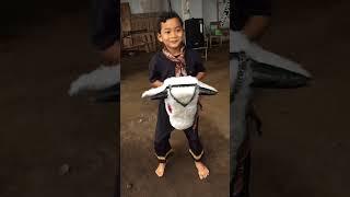 Latihan bantengan cilik #bantengan #bantenganmalang #shortsviral #mberot