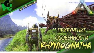 Риниогната приручение и способности, доступна на картах Lost Island и The Island #Rhyniognatha