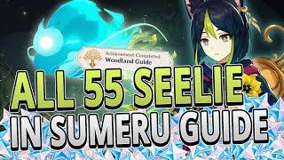 All 55 Seelie Locations in Sumeru FAST ROUTE GUIDE +TIMESTAMPS | Genshin Impact