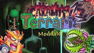 CALAMITAS CLONE! PLANTERA!  Terraria Moddato E11