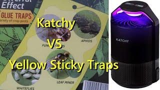 Katchy Indoor Insect Trap for Fungus Gnats - Is it Better than Yellow Sticky Glue Boards?