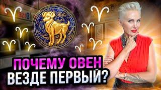 ОВЕН Мужской знак зодиака. Почему ему нужна женщина МЫШКА? #астрология #овен #гороскоп