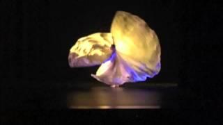 Jody Sperling performs Loie Fuller style solo "Clair de lune" at UMass FAC