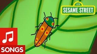 Sesame Street: A Song About Bugs!