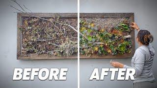 Vertical Garden Rehab