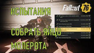 Fallout 76 Собрать яйцо молерота