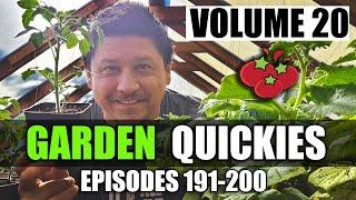 Garden Quickies Volume 20 - Episodes 191 to 200