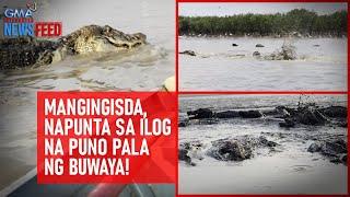 Mangingisda, napunta sa ilog na puno pala ng buwaya! | GMA Integrated Newsfeed