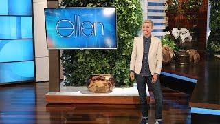 Ellen's Audience Plays Never Have I Ever