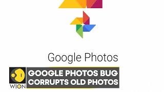 Google photos bug corrupting old photos, affects both Android and iOS users | Latest News | WION