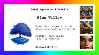 Blue Willow - expériences, conseils