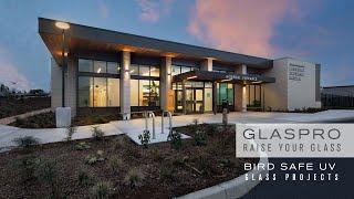 GlasPro Bird Safe UV Glass Projects