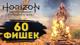Horizon Forbidden West 60 мелочей (фишек) открытого мира (без спойлеров)