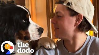 Life With 2 Giant Velcro Dogs | The Dodo