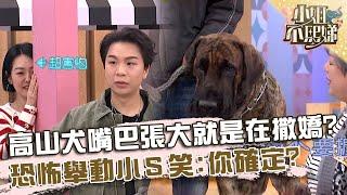 高山犬嘴巴張大就是在撒嬌？恐怖舉動小Ｓ笑：你確定？【#小姐不熙娣】20250217 EP749 Part3 小康 白白