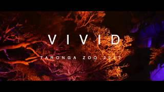 Vivid Taronga Zoo 2017