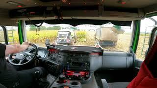 POV TRUCK Driving Tatra Phoenix 460 6X6 * WET SILAGE *