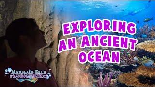 Ep 16: Exploring an Ancient Ocean | Mermaid Elle - Saving the Seas