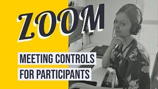 Zoom meeting controls for participants