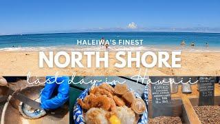 How to Spend your Last Day in Hawaii? Visit Haleiwa, Laniakea Beach, Dole Plantation, Peacock Pearls