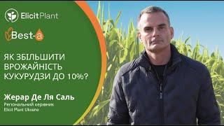 Хочете дізнатися як збільшити врожайність кукурудзи, соняшнику та сої?