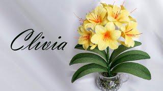 Кливия  жёлтая  /yellow Clivia