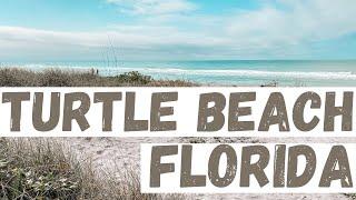 Turtle Beach, Florida near Siesta Key and Sarasota, Florida // Best Beaches in Florida