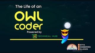 Life of an Owl Coder | Technical Hub